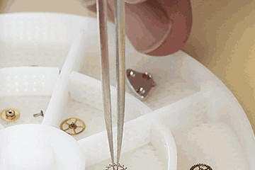 哈尔滨劳力士手表表蒙哪里更换